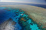 Great Barrier Reef Experience (Full Day)
