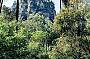 5 Day Carnarvon Gorge Outback Tour
