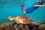 Snorkelling with a turtle