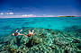 Join a boat snorkel trip offshore