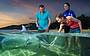 Dolphin Experience