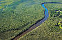 Noosa River and Everglades Afternoon Tea Cruise 4 hours
