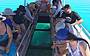 Glass Bottom Boat – Great Barrier Reef
