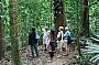 Rainforest walks witha naturalist guide.