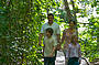 Discover with a self guided island walk through the rainforest
