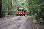 4WD Bus in the Rainforest