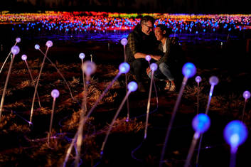 Uluru Sunrise & Field of Light